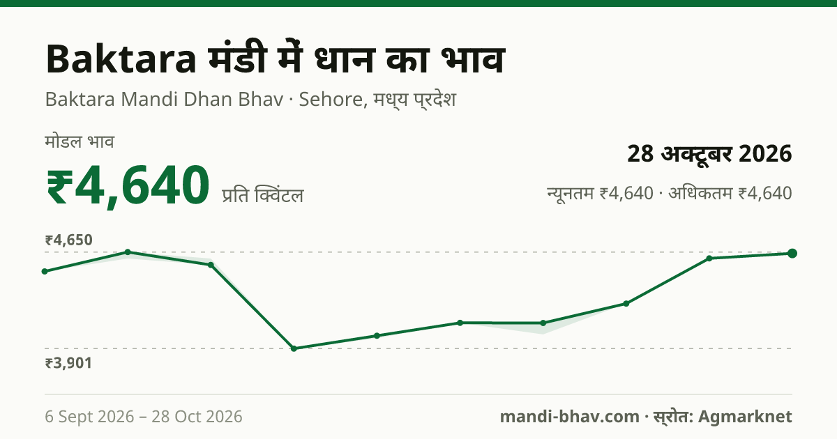 Baktara मंडी में धान का भाव 28 अक्टूबर 2026: मोडल ₹4,640 प्रति क्विंटल, भाव के रुझान का चार्ट