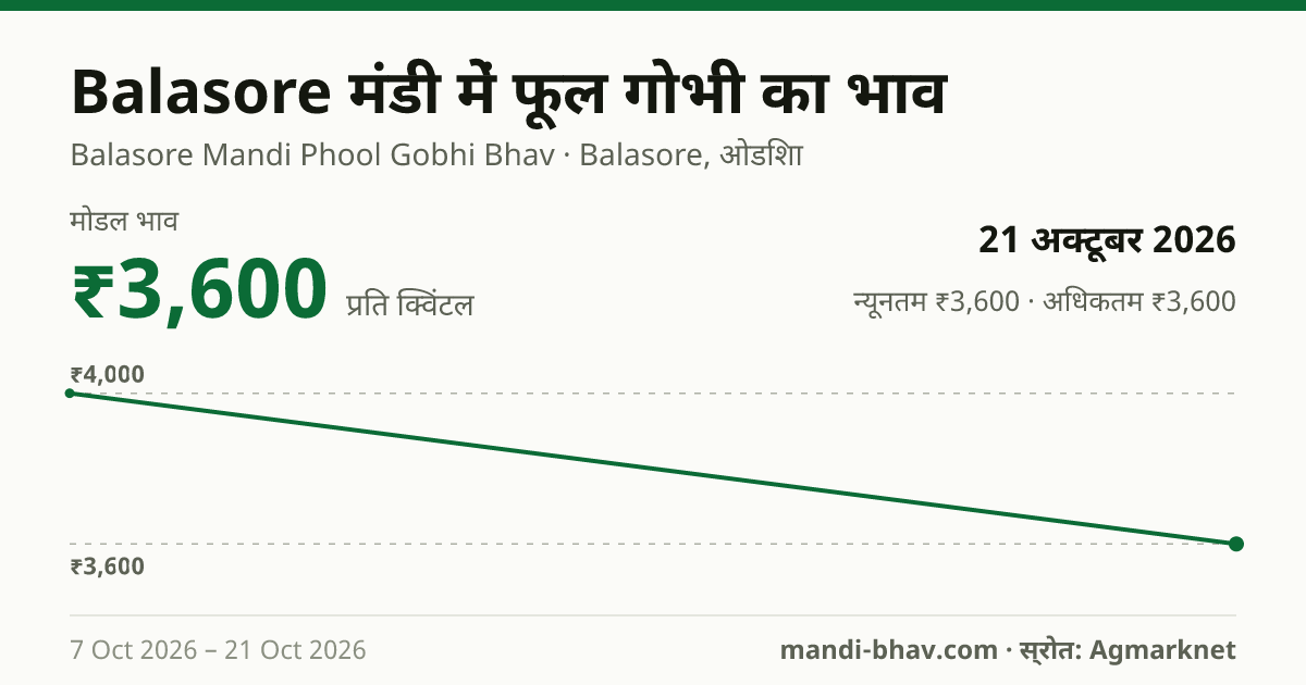 Balasore मंडी में फूल गोभी का भाव 21 अक्टूबर 2026: मोडल ₹3,600 प्रति क्विंटल, भाव के रुझान का चार्ट