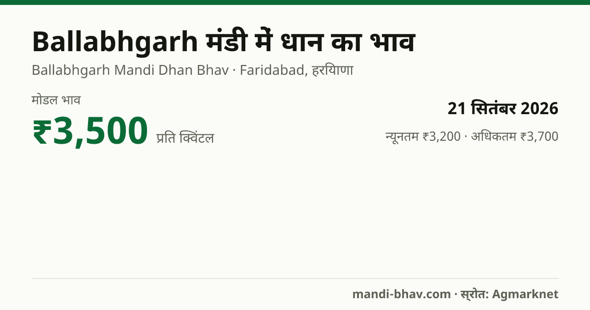 Ballabhgarh मंडी में धान का भाव 21 सितंबर 2026: मोडल ₹3,500 प्रति क्विंटल, भाव के रुझान का चार्ट