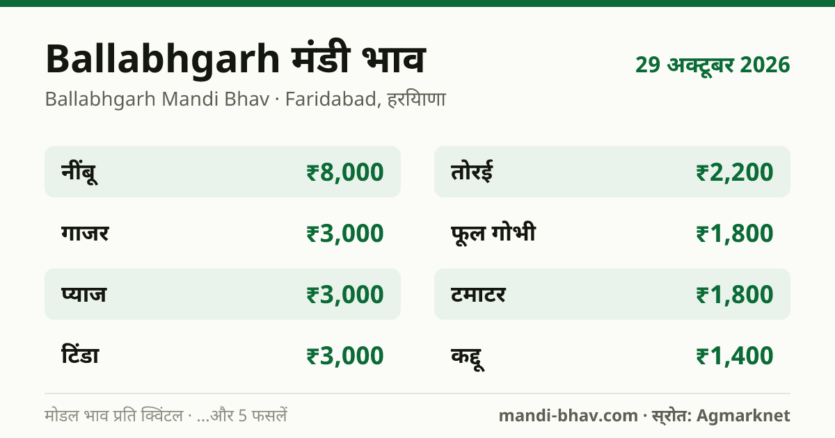 Ballabhgarh मंडी भाव 29 अक्टूबर 2026: फसलवार मोडल रेट प्रति क्विंटल