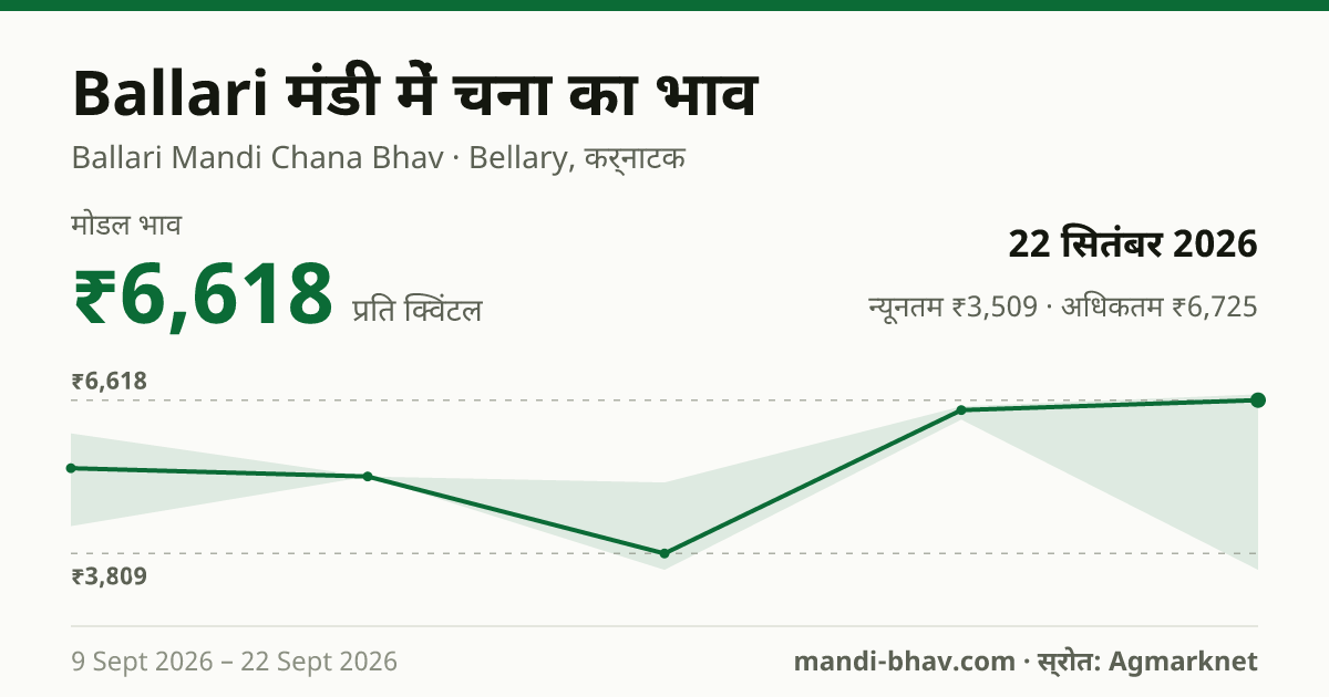 Ballari मंडी में चना का भाव 22 सितंबर 2026: मोडल ₹6,618 प्रति क्विंटल, भाव के रुझान का चार्ट