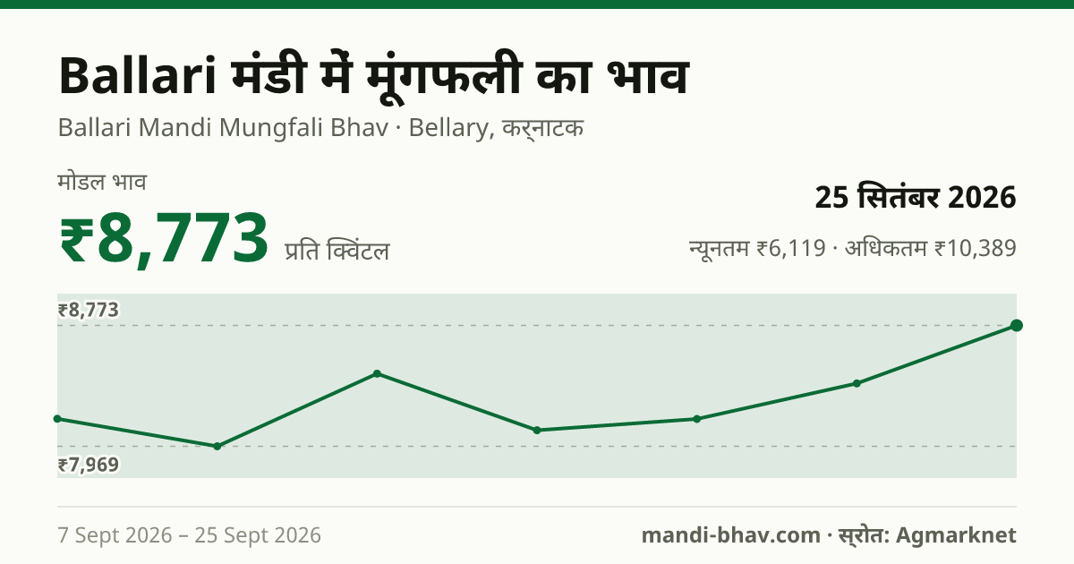 Ballari मंडी में मूंगफली का भाव 25 सितंबर 2026: मोडल ₹8,773 प्रति क्विंटल, भाव के रुझान का चार्ट