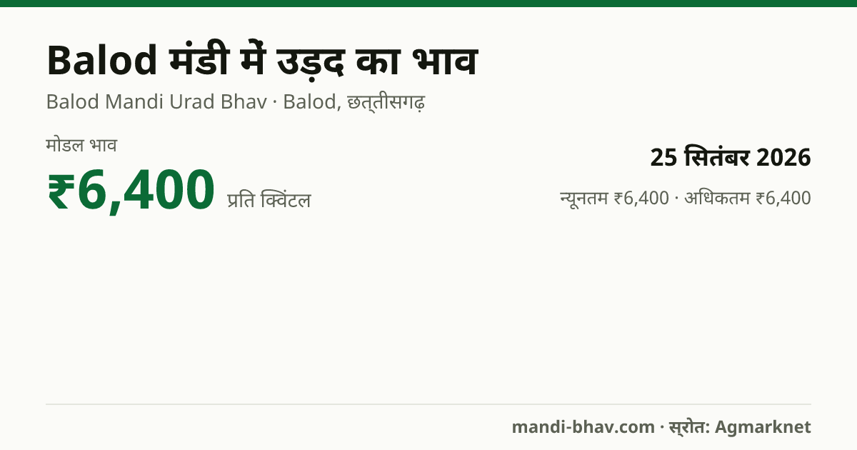 Balod मंडी में उड़द का भाव 25 सितंबर 2026: मोडल ₹6,400 प्रति क्विंटल, भाव के रुझान का चार्ट