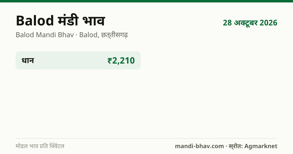 Balod मंडी भाव 28 अक्टूबर 2026: फसलवार मोडल रेट प्रति क्विंटल