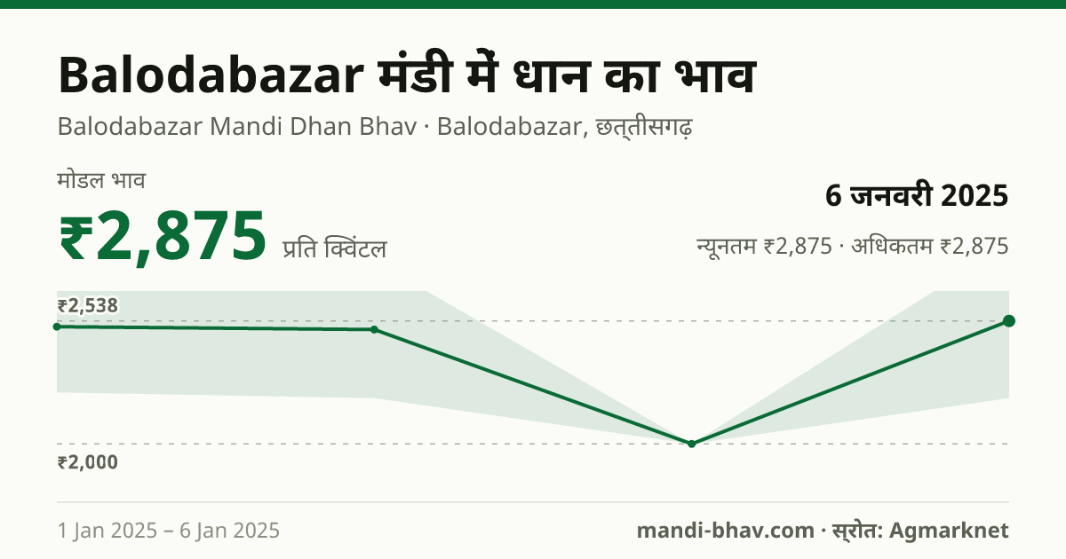 Balodabazar मंडी में धान का भाव 6 जनवरी 2025: मोडल ₹2,875 प्रति क्विंटल, भाव के रुझान का चार्ट