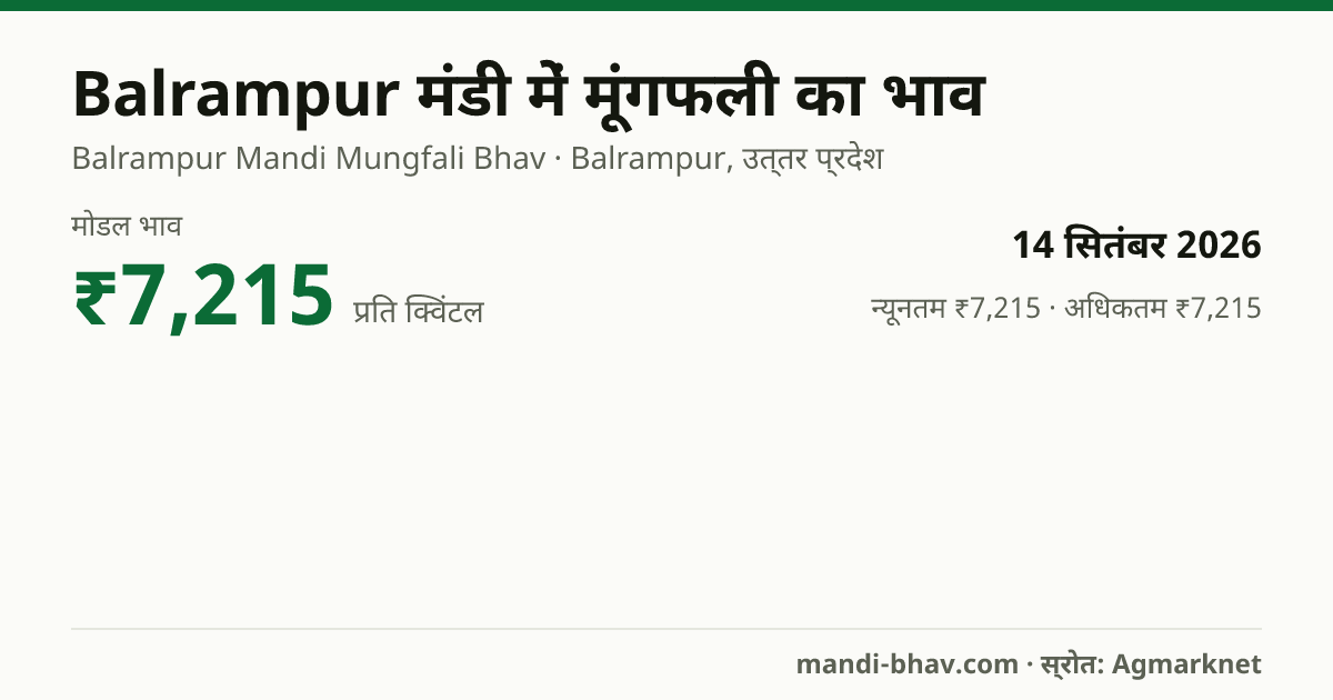 Balrampur मंडी में मूंगफली का भाव 14 सितंबर 2026: मोडल ₹7,215 प्रति क्विंटल, भाव के रुझान का चार्ट