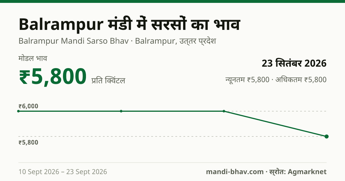 Balrampur मंडी में सरसों का भाव 23 सितंबर 2026: मोडल ₹5,800 प्रति क्विंटल, भाव के रुझान का चार्ट