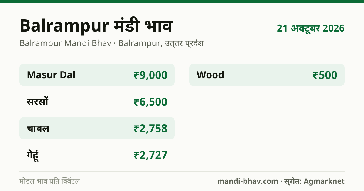 Balrampur मंडी भाव 21 अक्टूबर 2026: फसलवार मोडल रेट प्रति क्विंटल