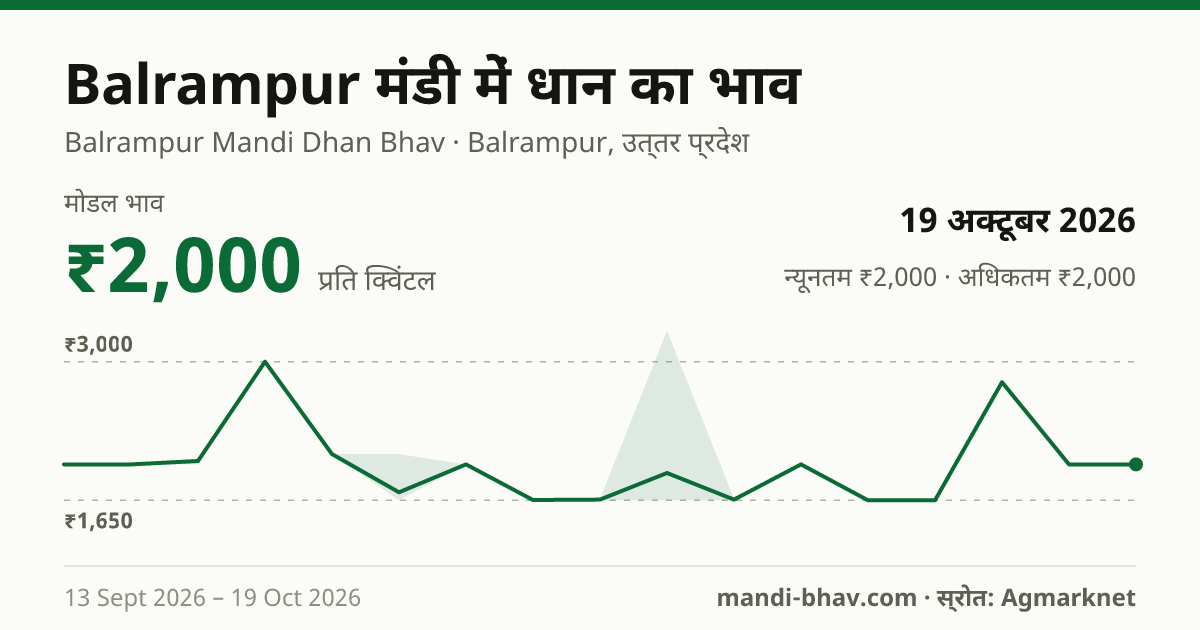 Balrampur मंडी में धान का भाव 19 अक्टूबर 2026: मोडल ₹2,000 प्रति क्विंटल, भाव के रुझान का चार्ट