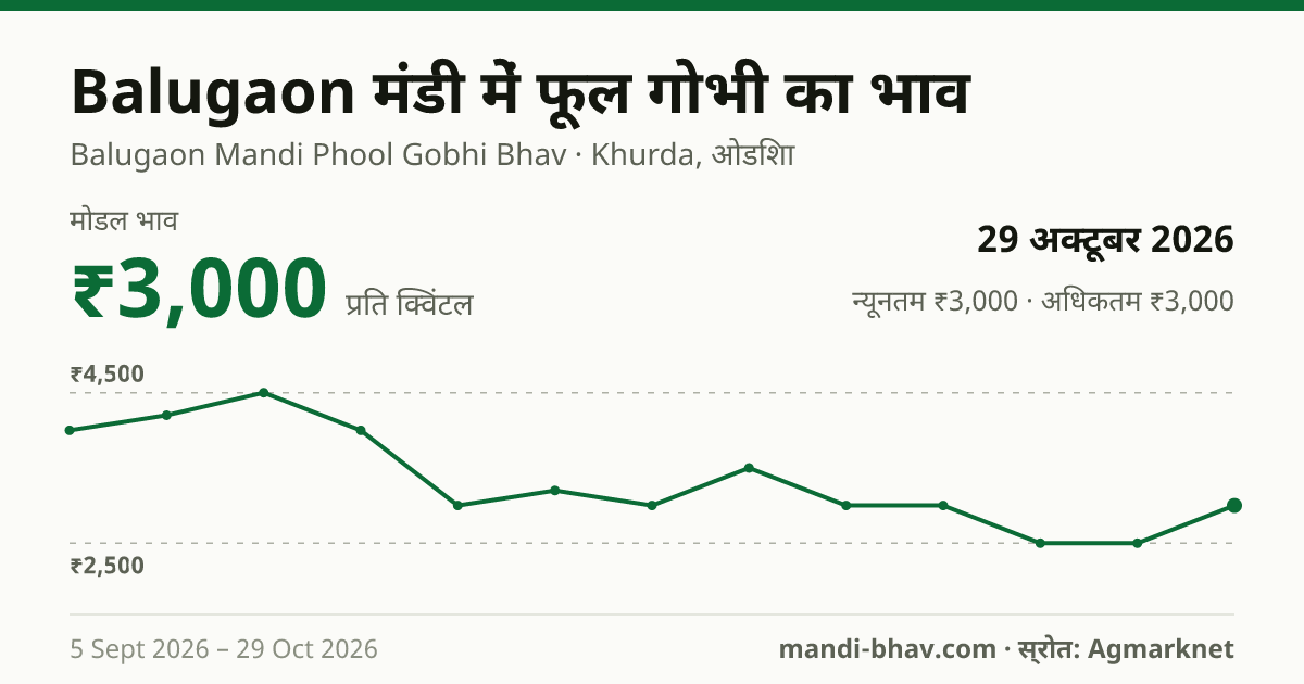 Balugaon मंडी में फूल गोभी का भाव 29 अक्टूबर 2026: मोडल ₹3,000 प्रति क्विंटल, भाव के रुझान का चार्ट