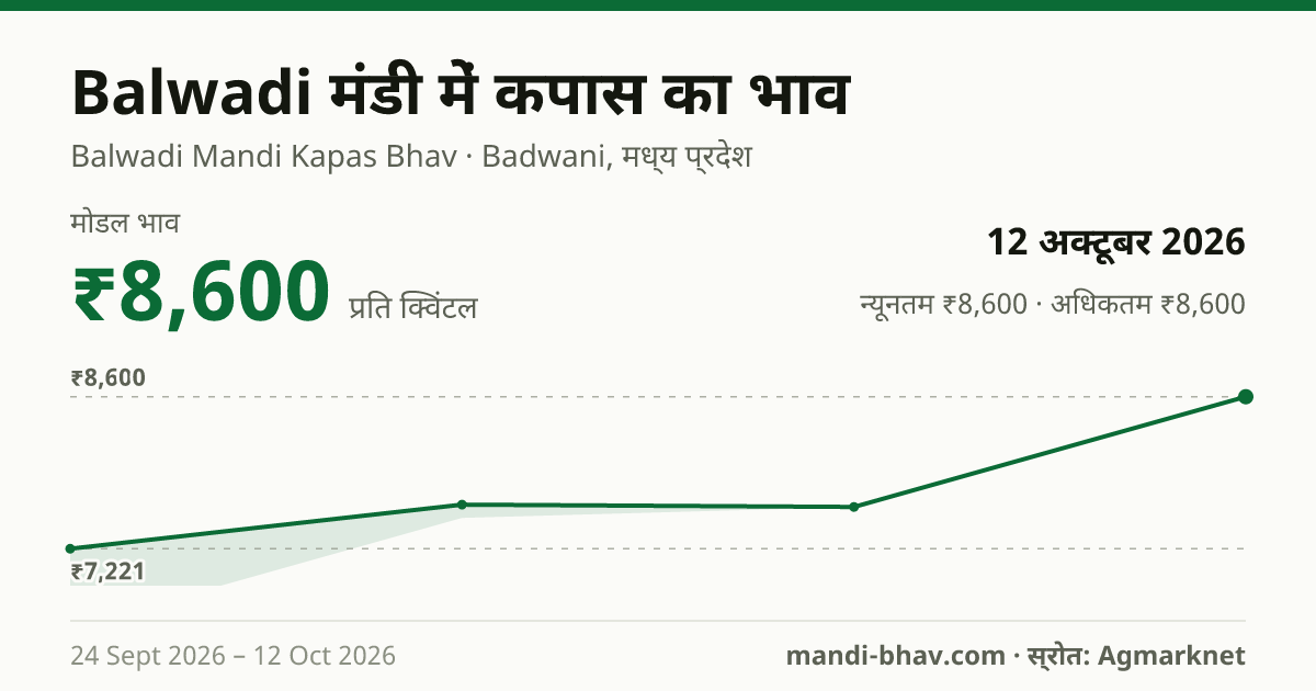 Balwadi मंडी में कपास का भाव 12 अक्टूबर 2026: मोडल ₹8,600 प्रति क्विंटल, भाव के रुझान का चार्ट
