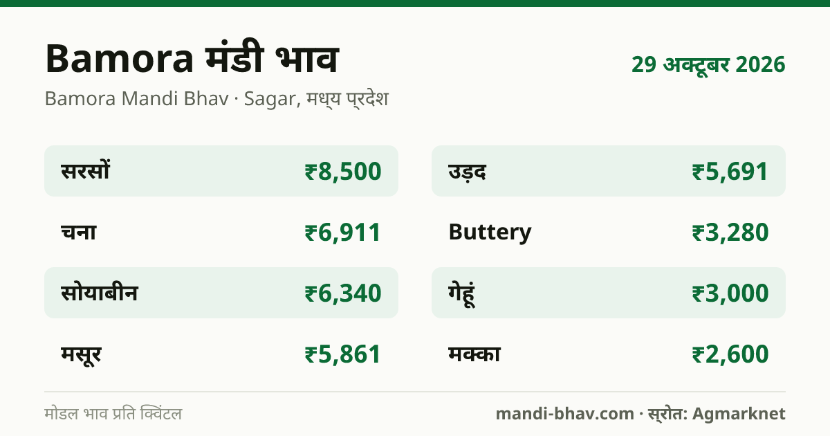 Bamora मंडी भाव 29 अक्टूबर 2026: फसलवार मोडल रेट प्रति क्विंटल