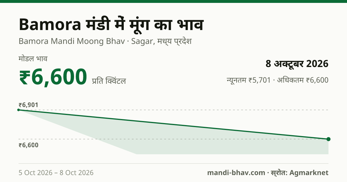 Bamora मंडी में मूंग का भाव 8 अक्टूबर 2026: मोडल ₹6,600 प्रति क्विंटल, भाव के रुझान का चार्ट
