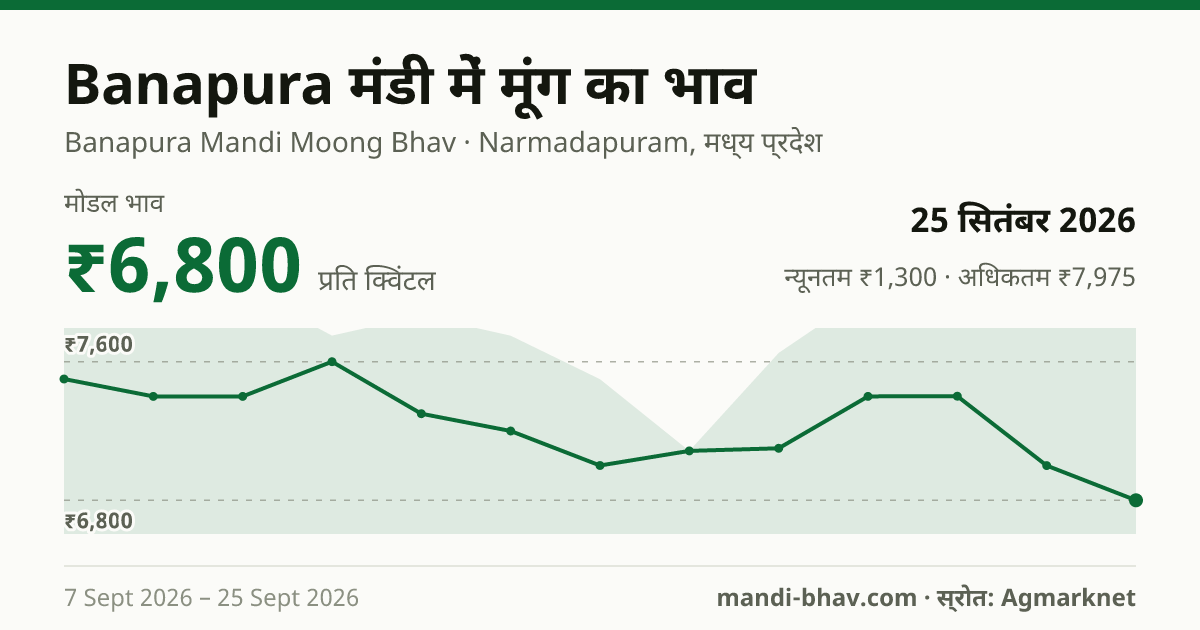 Banapura मंडी में मूंग का भाव 25 सितंबर 2026: मोडल ₹6,800 प्रति क्विंटल, भाव के रुझान का चार्ट