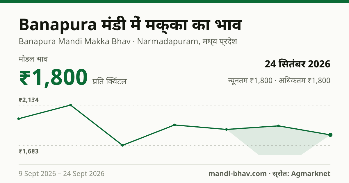 Banapura मंडी में मक्का का भाव 24 सितंबर 2026: मोडल ₹1,800 प्रति क्विंटल, भाव के रुझान का चार्ट