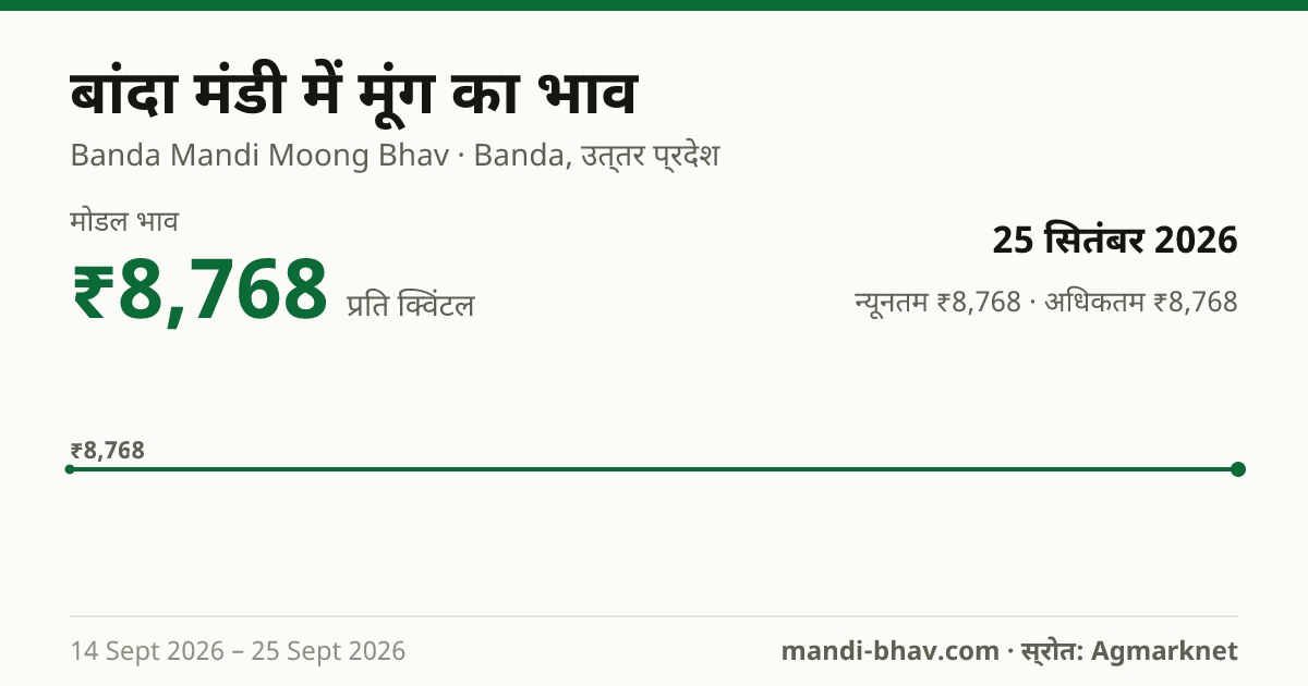 बांदा मंडी में मूंग का भाव 25 सितंबर 2026: मोडल ₹8,768 प्रति क्विंटल, भाव के रुझान का चार्ट