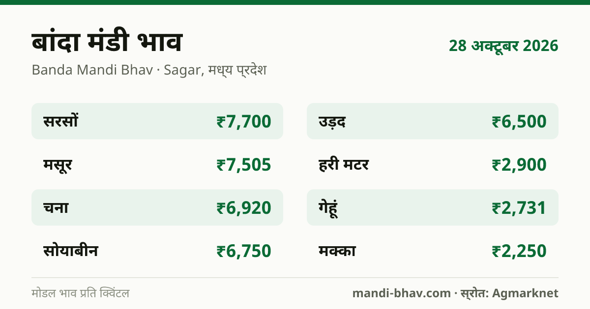 बांदा मंडी भाव 28 अक्टूबर 2026: फसलवार मोडल रेट प्रति क्विंटल