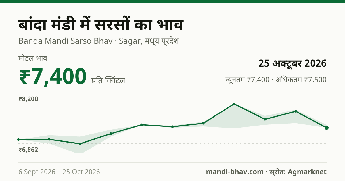 बांदा मंडी में सरसों का भाव 25 अक्टूबर 2026: मोडल ₹7,400 प्रति क्विंटल, भाव के रुझान का चार्ट