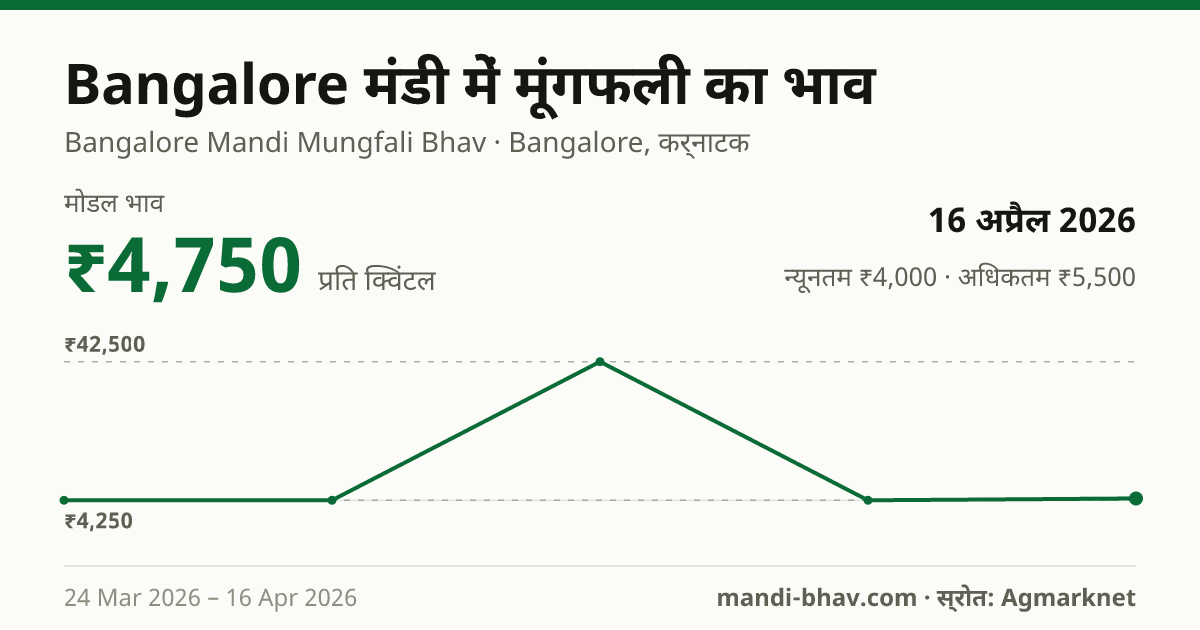 Bangalore मंडी में मूंगफली का भाव 16 अप्रैल 2026: मोडल ₹4,750 प्रति क्विंटल, भाव के रुझान का चार्ट