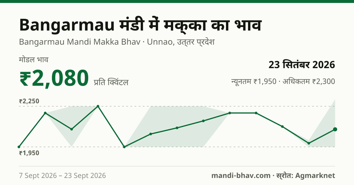 Bangarmau मंडी में मक्का का भाव 23 सितंबर 2026: मोडल ₹2,080 प्रति क्विंटल, भाव के रुझान का चार्ट