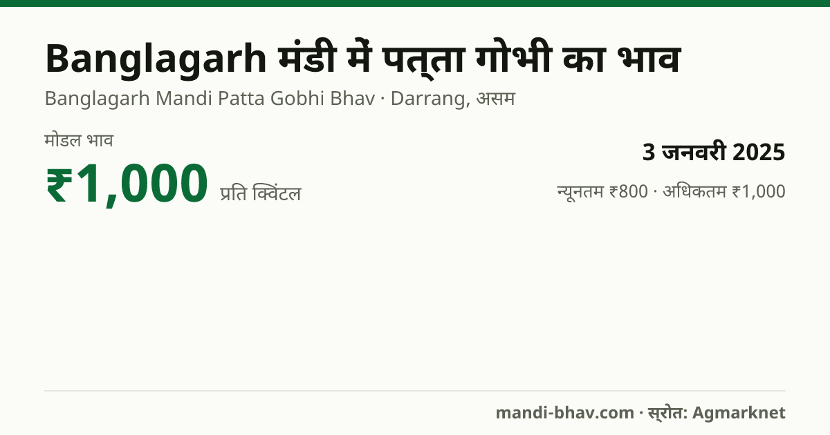 Banglagarh मंडी में पत्ता गोभी का भाव 3 जनवरी 2025: मोडल ₹1,000 प्रति क्विंटल, भाव के रुझान का चार्ट