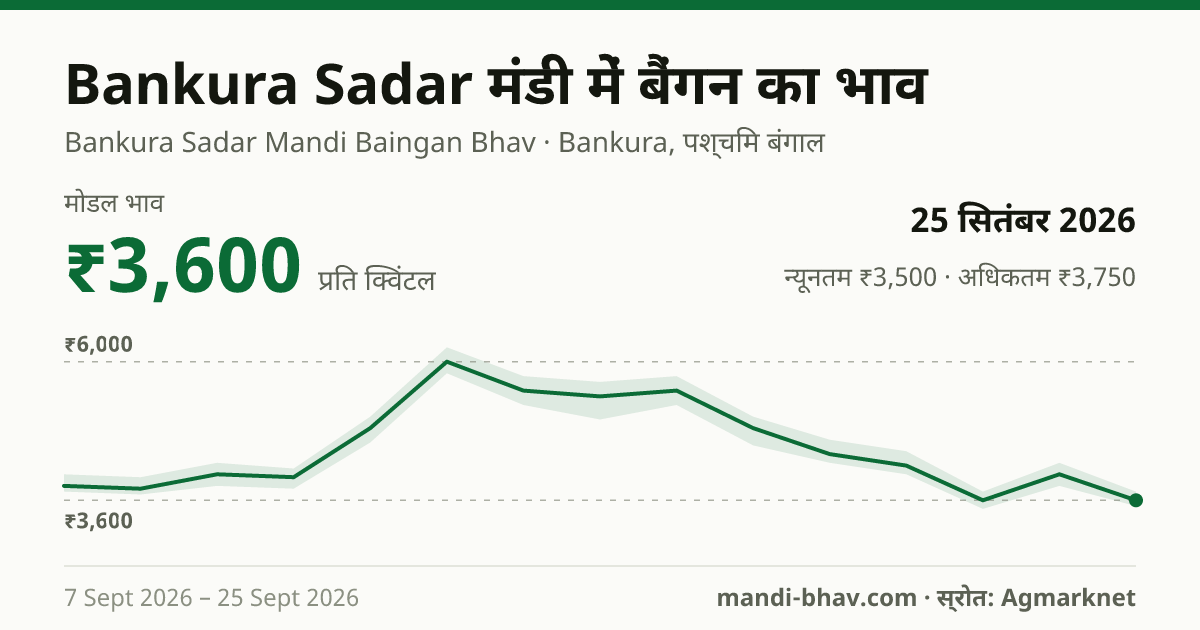 Bankura Sadar मंडी में बैंगन का भाव 25 सितंबर 2026: मोडल ₹3,600 प्रति क्विंटल, भाव के रुझान का चार्ट