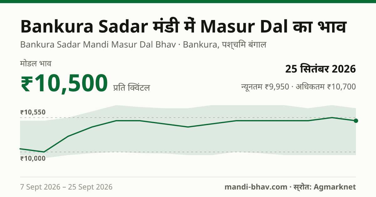 Bankura Sadar मंडी में Masur Dal का भाव 25 सितंबर 2026: मोडल ₹10,500 प्रति क्विंटल, भाव के रुझान का चार्ट