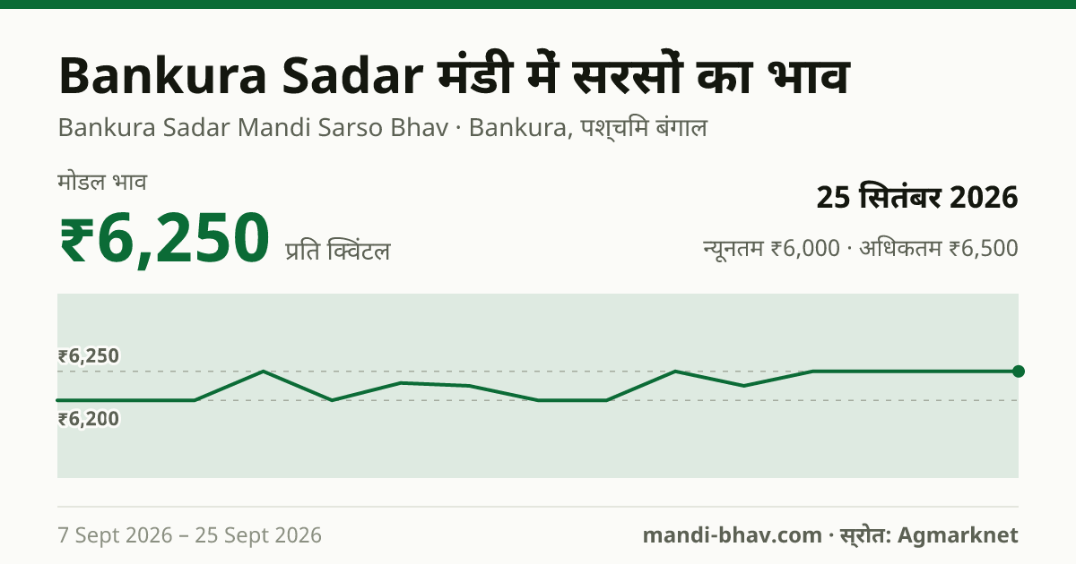 Bankura Sadar मंडी में सरसों का भाव 25 सितंबर 2026: मोडल ₹6,250 प्रति क्विंटल, भाव के रुझान का चार्ट