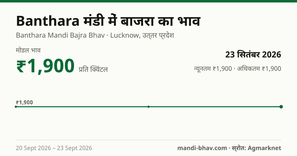 Banthara मंडी में बाजरा का भाव 23 सितंबर 2026: मोडल ₹1,900 प्रति क्विंटल, भाव के रुझान का चार्ट