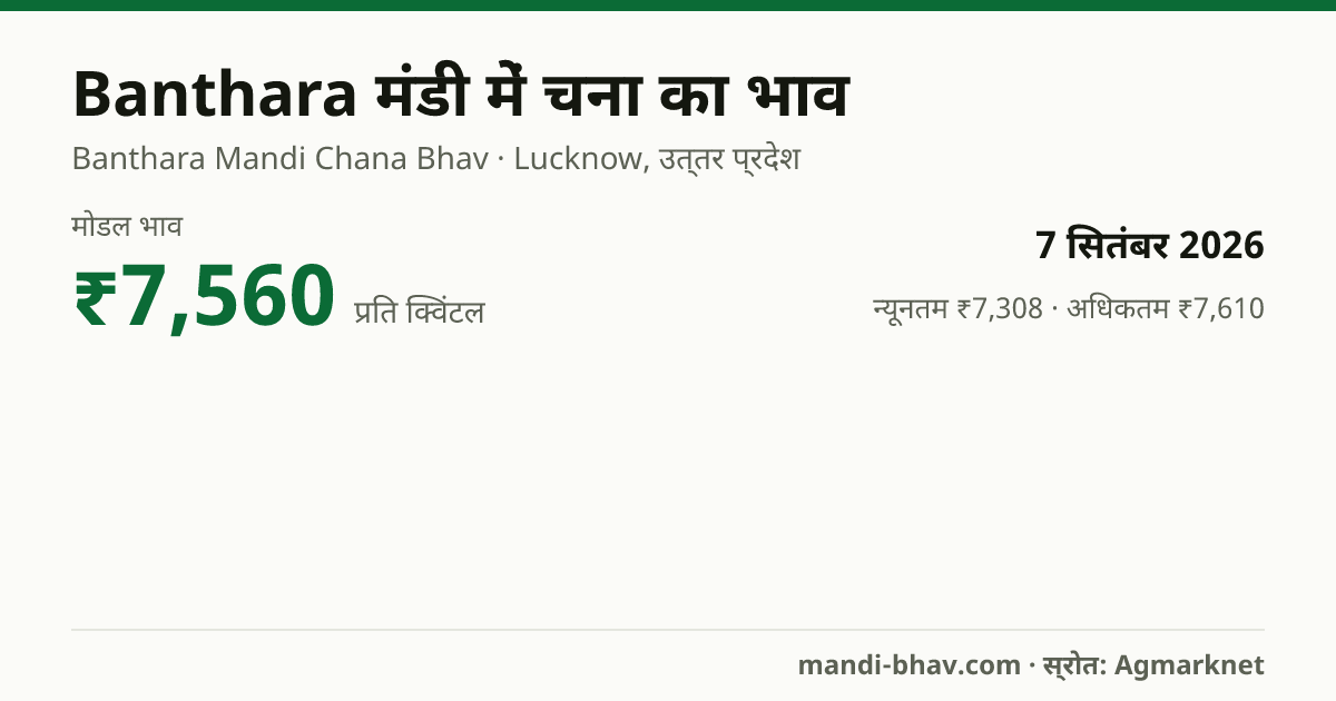 Banthara मंडी में चना का भाव 7 सितंबर 2026: मोडल ₹7,560 प्रति क्विंटल, भाव के रुझान का चार्ट