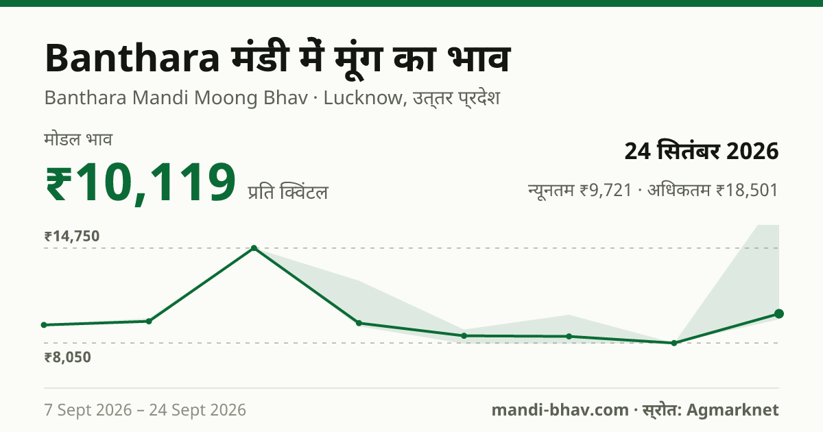 Banthara मंडी में मूंग का भाव 24 सितंबर 2026: मोडल ₹10,119 प्रति क्विंटल, भाव के रुझान का चार्ट