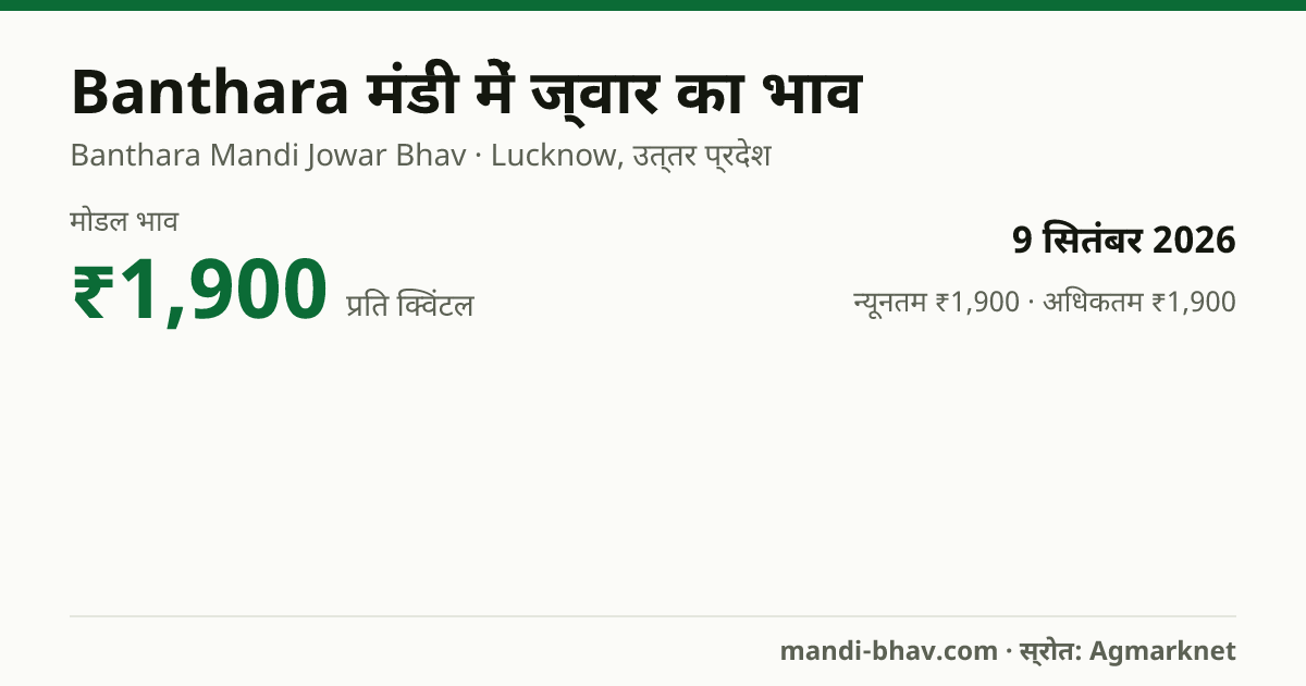 Banthara मंडी में ज्वार का भाव 9 सितंबर 2026: मोडल ₹1,900 प्रति क्विंटल, भाव के रुझान का चार्ट