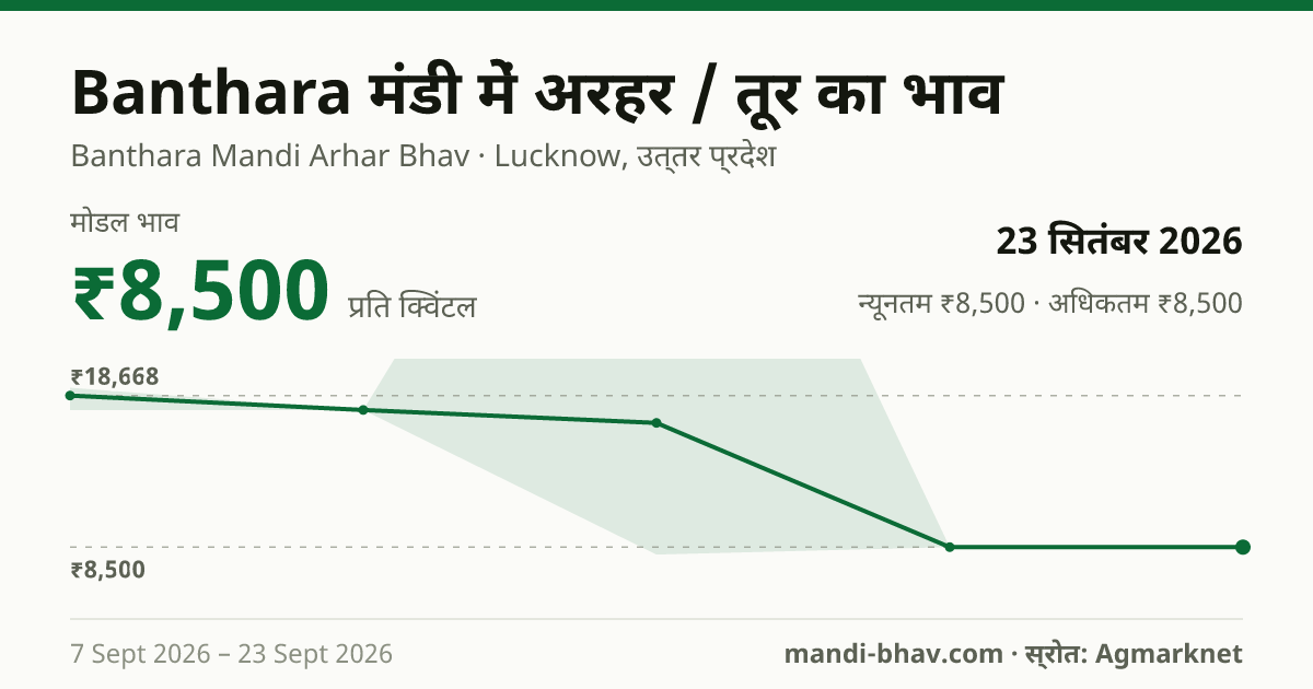 Banthara मंडी में अरहर / तूर का भाव 23 सितंबर 2026: मोडल ₹8,500 प्रति क्विंटल, भाव के रुझान का चार्ट
