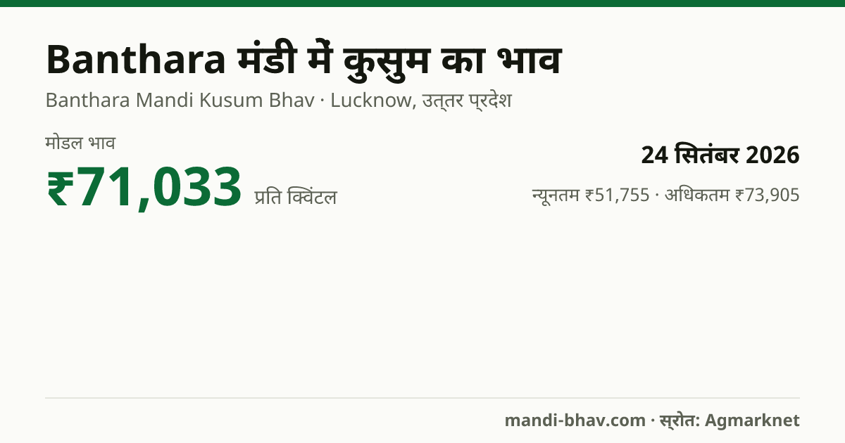 Banthara मंडी में कुसुम का भाव 24 सितंबर 2026: मोडल ₹71,033 प्रति क्विंटल, भाव के रुझान का चार्ट