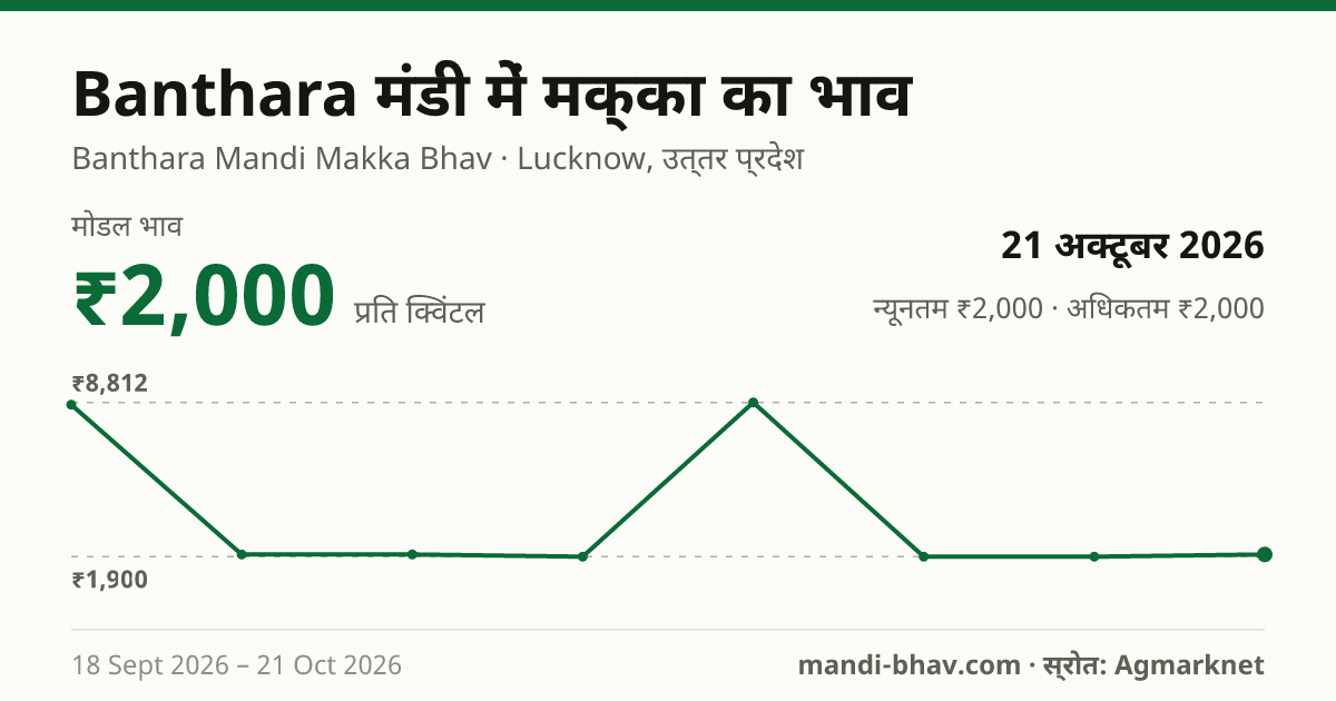 Banthara मंडी में मक्का का भाव 21 अक्टूबर 2026: मोडल ₹2,000 प्रति क्विंटल, भाव के रुझान का चार्ट