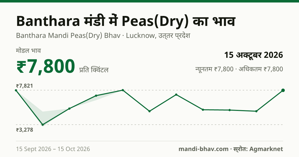 Banthara मंडी में Peas(Dry) का भाव 15 अक्टूबर 2026: मोडल ₹7,800 प्रति क्विंटल, भाव के रुझान का चार्ट