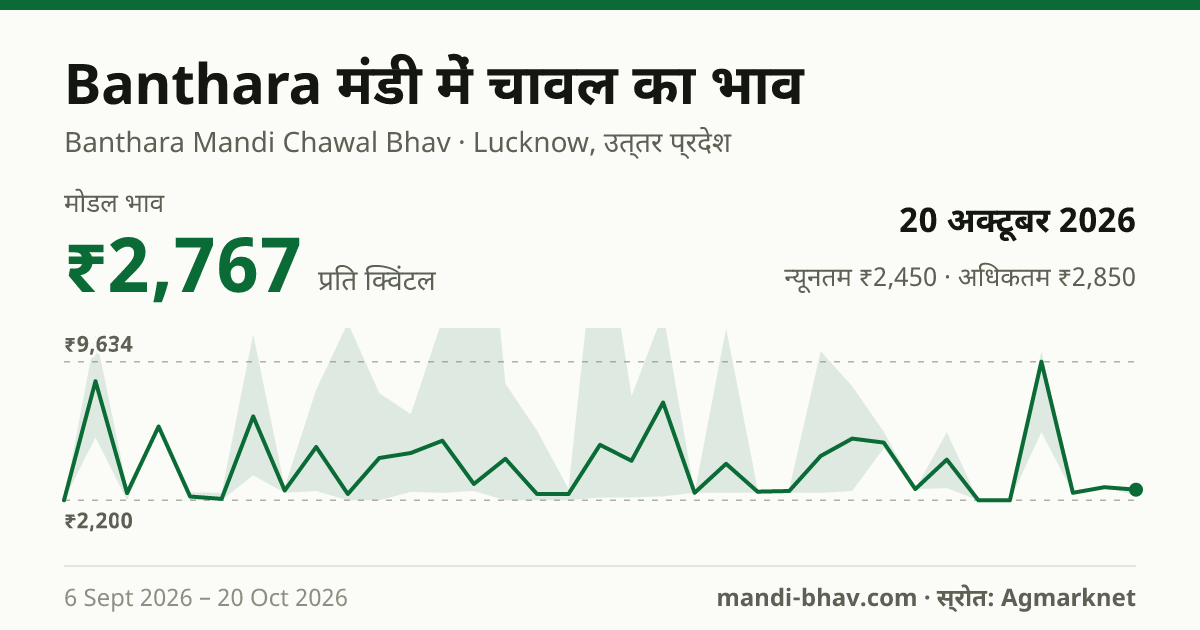 Banthara मंडी में चावल का भाव 20 अक्टूबर 2026: मोडल ₹2,767 प्रति क्विंटल, भाव के रुझान का चार्ट
