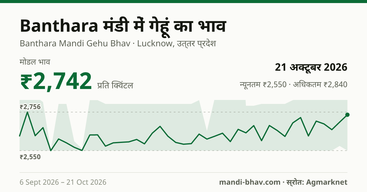 Banthara मंडी में गेहूं का भाव 21 अक्टूबर 2026: मोडल ₹2,742 प्रति क्विंटल, भाव के रुझान का चार्ट