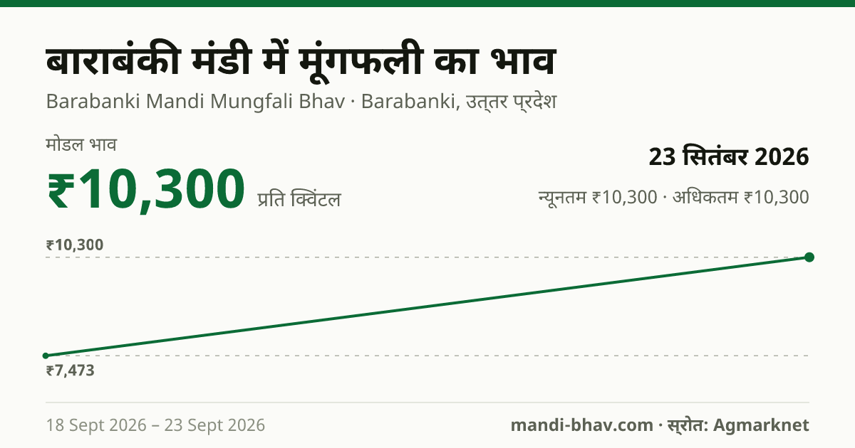 बाराबंकी मंडी में मूंगफली का भाव 23 सितंबर 2026: मोडल ₹10,300 प्रति क्विंटल, भाव के रुझान का चार्ट