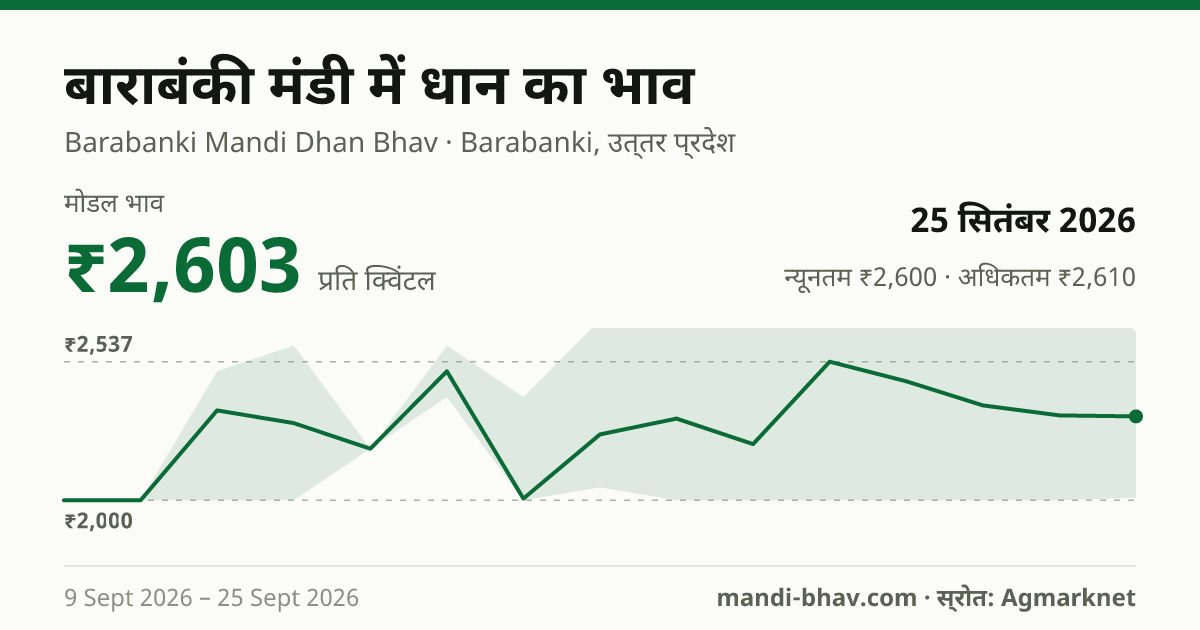 बाराबंकी मंडी में धान का भाव 25 सितंबर 2026: मोडल ₹2,603 प्रति क्विंटल, भाव के रुझान का चार्ट