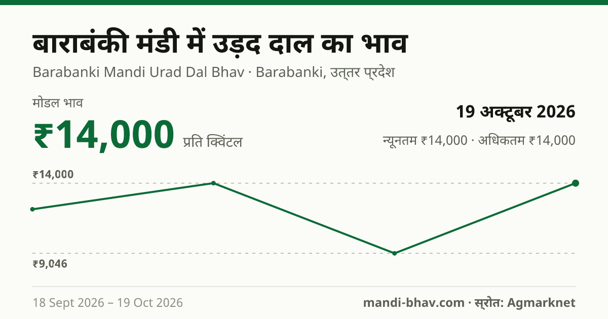 बाराबंकी मंडी में उड़द दाल का भाव 19 अक्टूबर 2026: मोडल ₹14,000 प्रति क्विंटल, भाव के रुझान का चार्ट