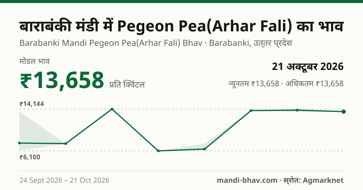 बाराबंकी मंडी में Pegeon Pea(Arhar Fali) का भाव 21 अक्टूबर 2026: मोडल ₹13,658 प्रति क्विंटल, भाव के रुझान का चार्ट