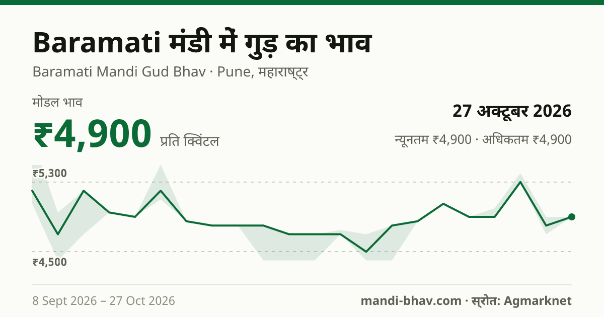 Baramati मंडी में गुड़ का भाव 27 अक्टूबर 2026: मोडल ₹4,900 प्रति क्विंटल, भाव के रुझान का चार्ट