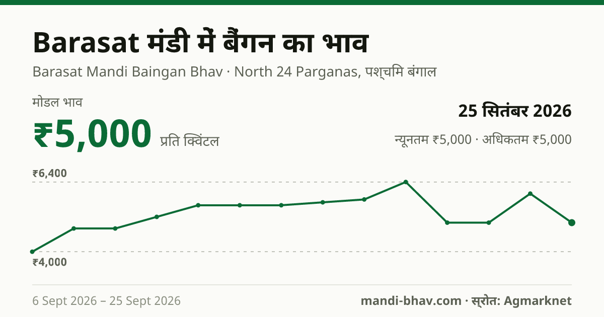 Barasat मंडी में बैंगन का भाव 25 सितंबर 2026: मोडल ₹5,000 प्रति क्विंटल, भाव के रुझान का चार्ट