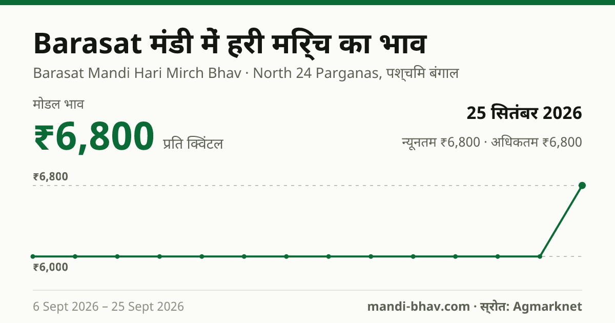 Barasat मंडी में हरी मिर्च का भाव 25 सितंबर 2026: मोडल ₹6,800 प्रति क्विंटल, भाव के रुझान का चार्ट