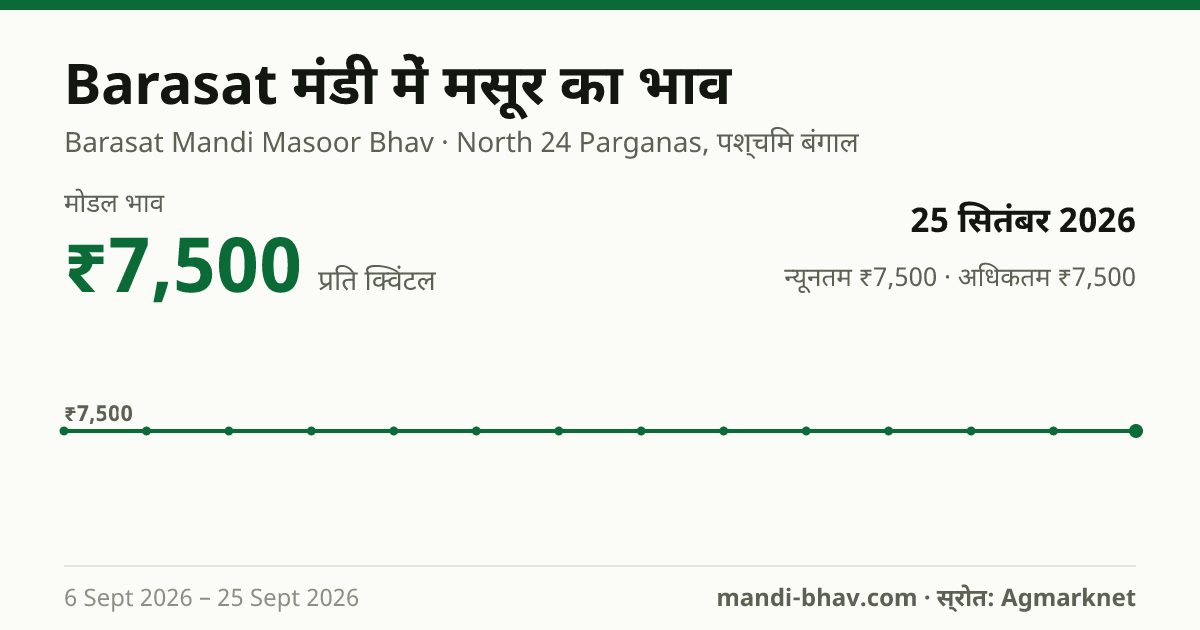 Barasat मंडी में मसूर का भाव 25 सितंबर 2026: मोडल ₹7,500 प्रति क्विंटल, भाव के रुझान का चार्ट