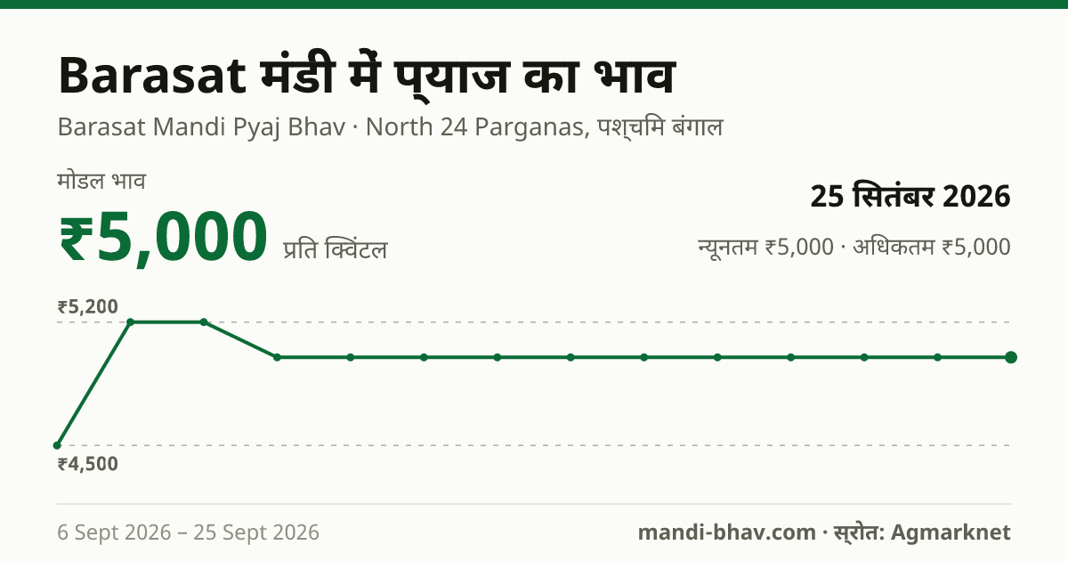 Barasat मंडी में प्याज का भाव 25 सितंबर 2026: मोडल ₹5,000 प्रति क्विंटल, भाव के रुझान का चार्ट