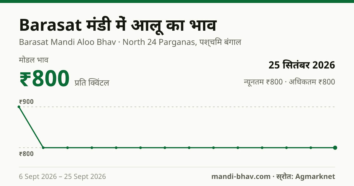 Barasat मंडी में आलू का भाव 25 सितंबर 2026: मोडल ₹800 प्रति क्विंटल, भाव के रुझान का चार्ट