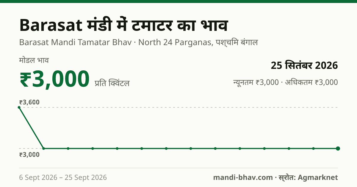 Barasat मंडी में टमाटर का भाव 25 सितंबर 2026: मोडल ₹3,000 प्रति क्विंटल, भाव के रुझान का चार्ट