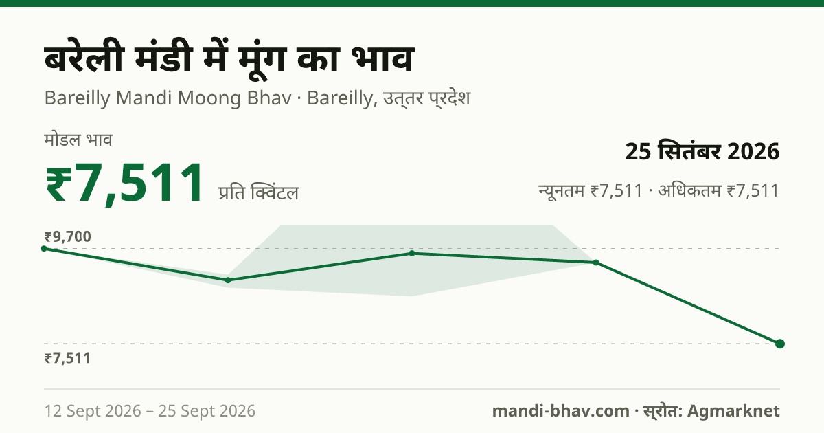 बरेली मंडी में मूंग का भाव 25 सितंबर 2026: मोडल ₹7,511 प्रति क्विंटल, भाव के रुझान का चार्ट